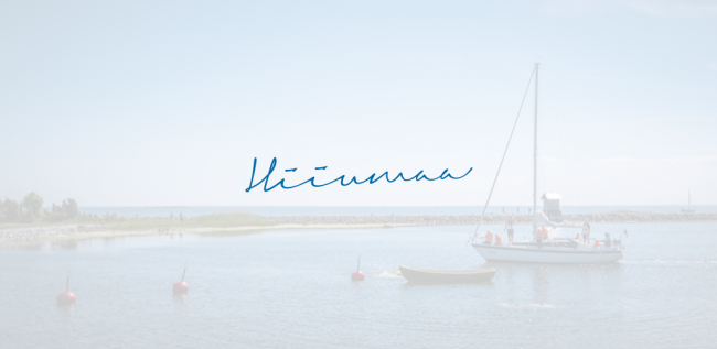 Modern day Citizen engagement – Hiiumaa municipality